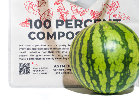 Non-woven Shopping Bag